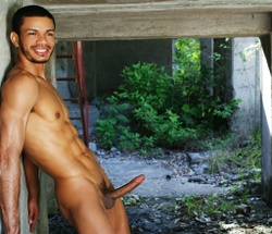 Harry Lins by Romeu Bart, 2012