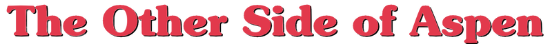 File:FalconTheOtherSideofAspenlogo.png